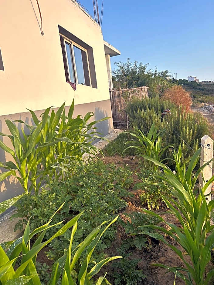 منزل قريب من الشاطئ