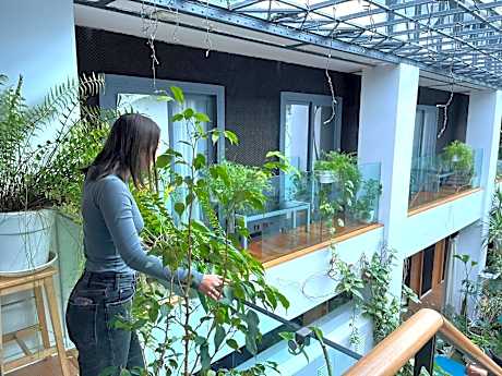 Triple Room with Shared Bathroom