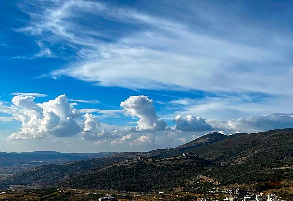 Photo 1 of 50 of OPEN SKY