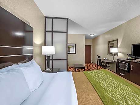 1 King Bed, Suite, Nonsmoking
