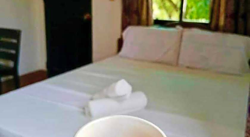 Nanette's Tourist Inn