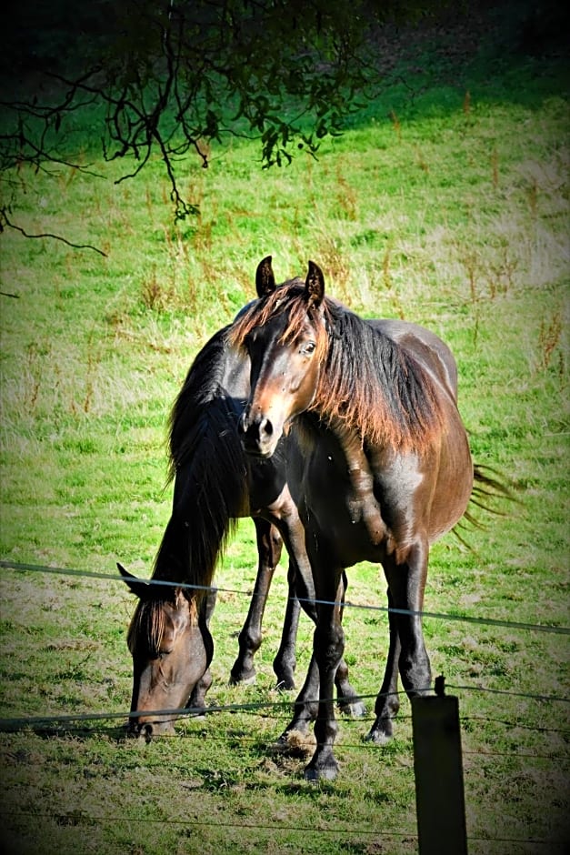 Kerryanna Country House Bed and Breakfast