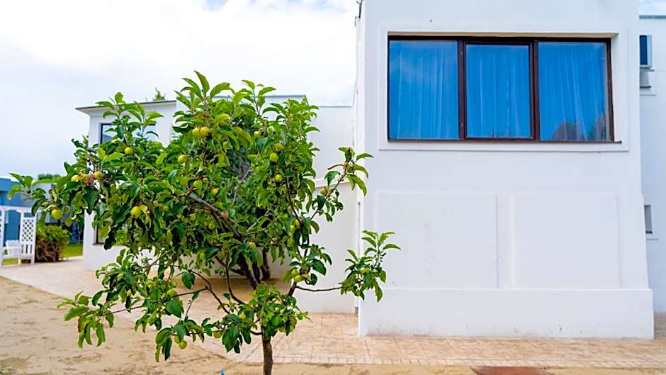 Avenue Venus - Avenue Hotels