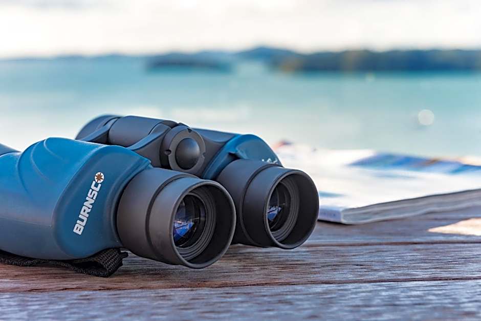 Marina Cove Bay of Islands