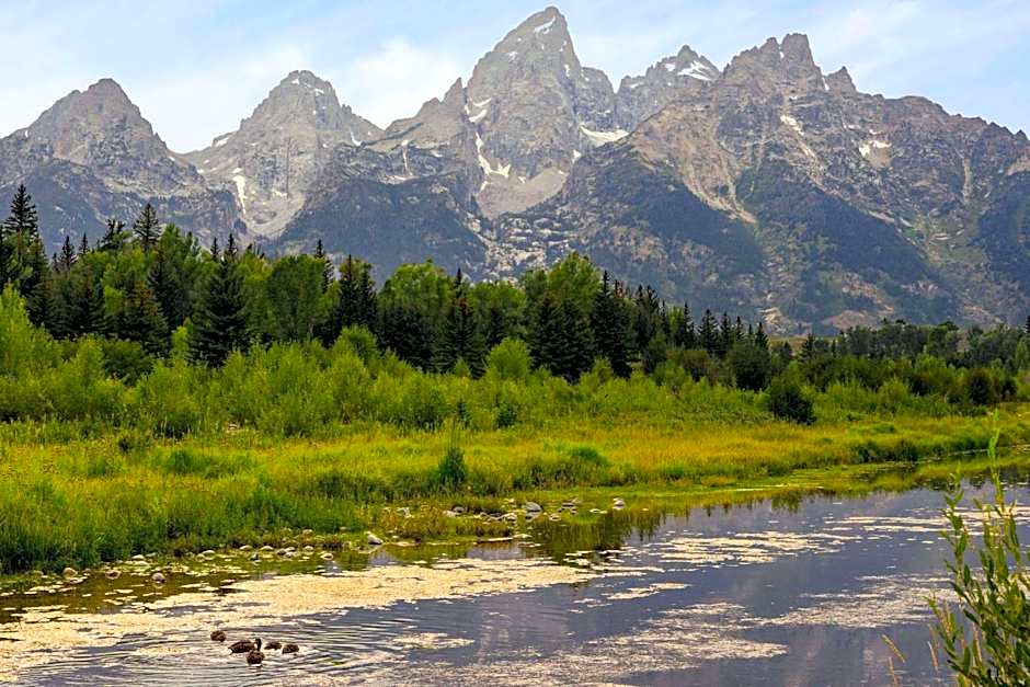 La Quinta Inn & Suites by Wyndham Idaho Falls