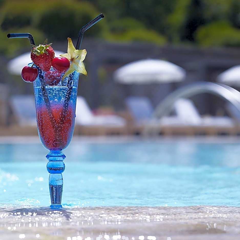 Chateau Saint-Martin & Spa