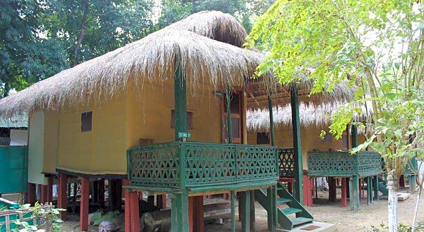 Nature Hunt Eco Camp Kaziranga 