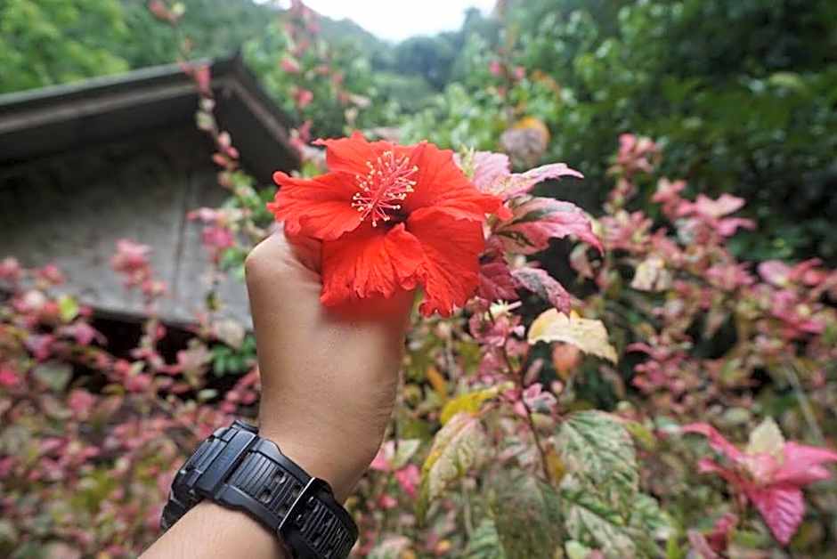 Khao Sok Green Mountain View