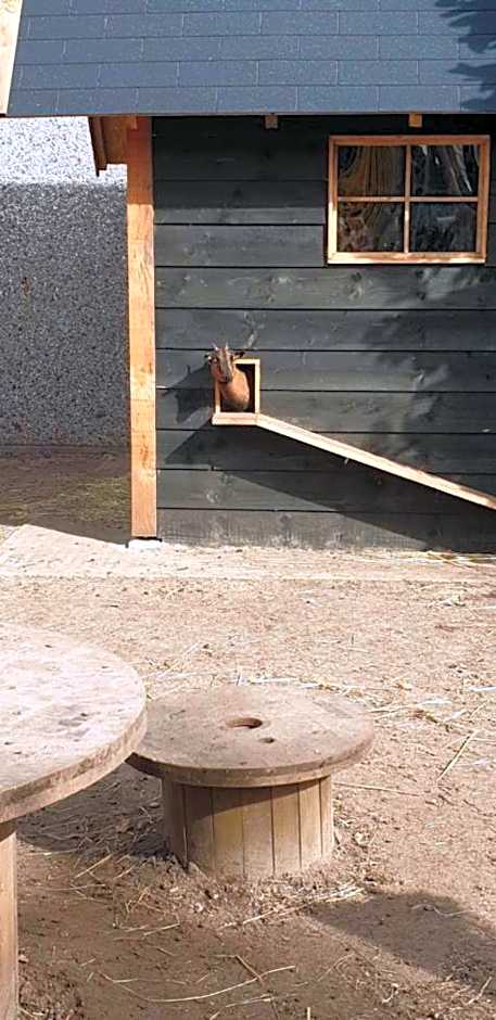 Vakantiepark de Bosrand