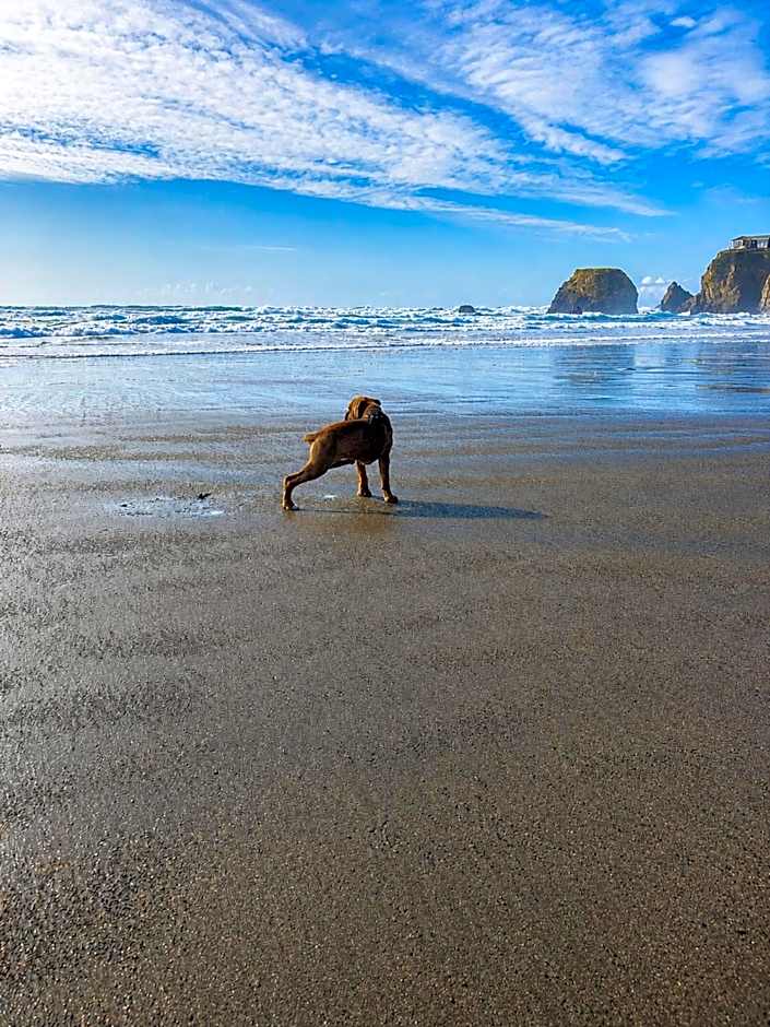 Seabird Lodge Fort Bragg