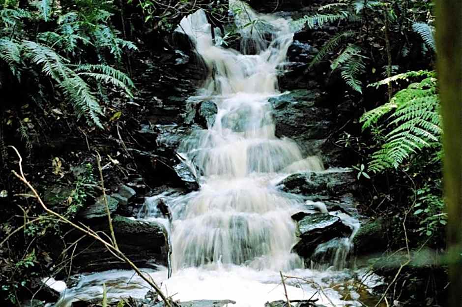 Misty Mountain Reserve