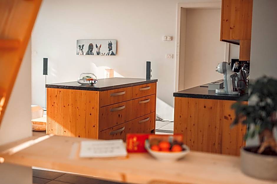 eco boutique hotel AMS Beagle