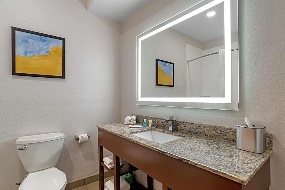 Comfort Suites Hattiesburg near University