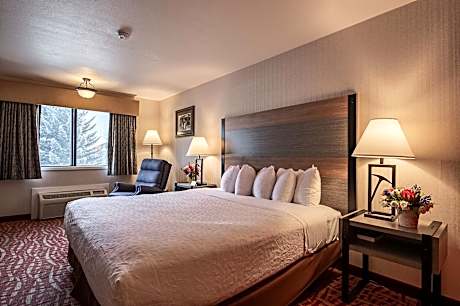 Standard Single Room, 1 King Bed