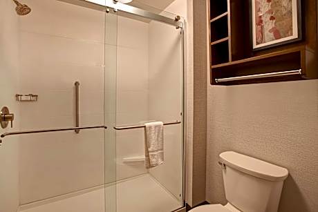 1 King Accessible Roll In Shower Studio Nosmk