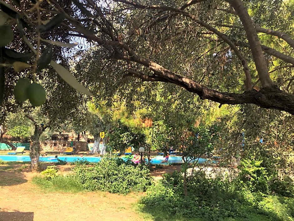 Bahar Bahce Datca