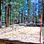Goldmine Lodge