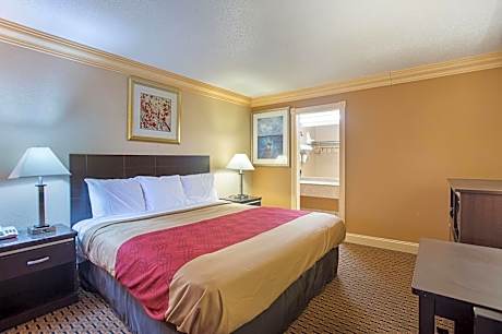 King Room - Non-Smoking