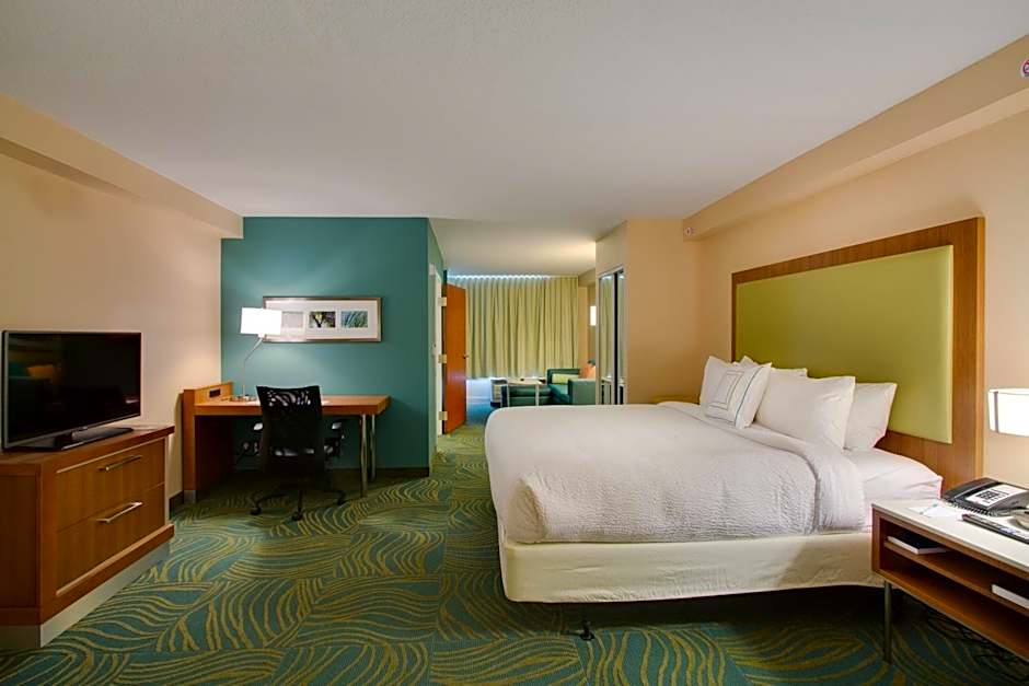 Photo 1 of 7 of 1 King Bed with Trundle Bed Suite, Hearing/Mobility Accessible, Bathtub