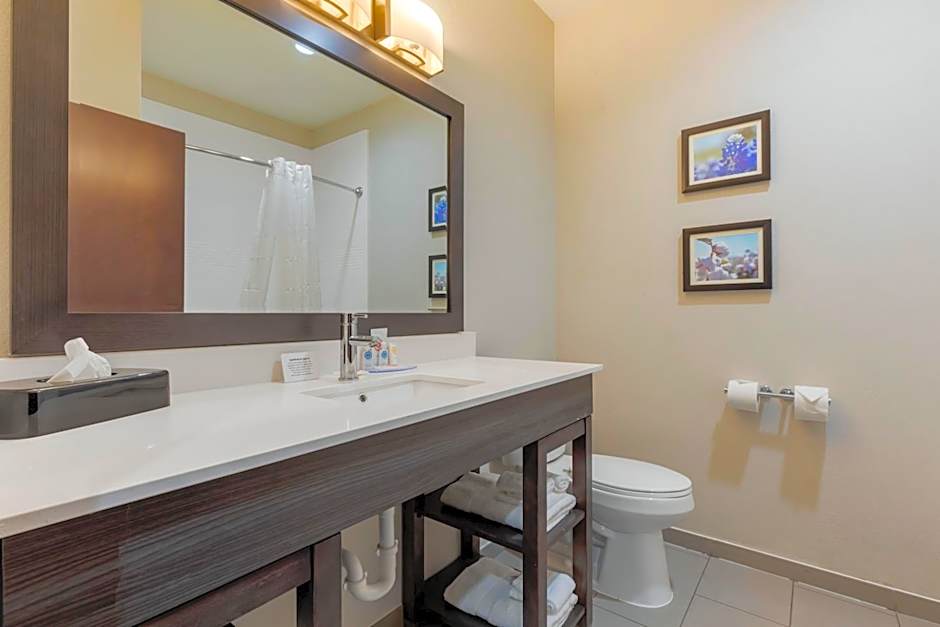 Comfort Inn & Suites Balch Springs - SE Dallas