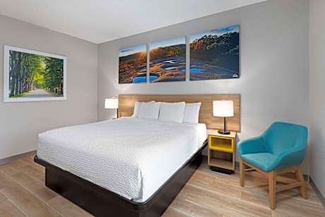 1 King Bed Non-Smoking