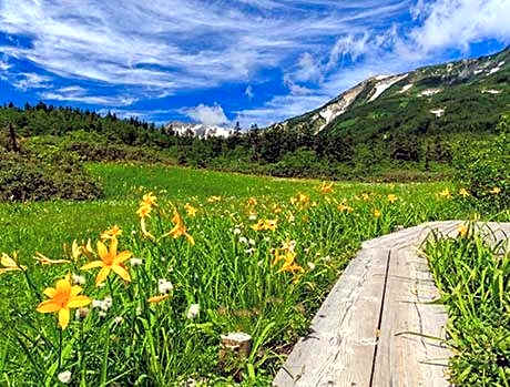 UNPLAN VIllage Hakuba