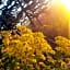 A1 Girasole B&B