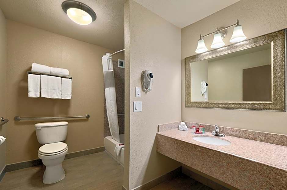 Ramada by Wyndham Houston Intercontinental Airport South