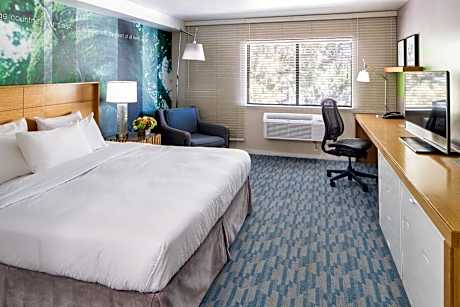 Deluxe Room King, Accessible