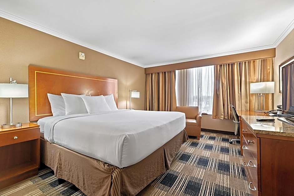 Hotel Executive Suites