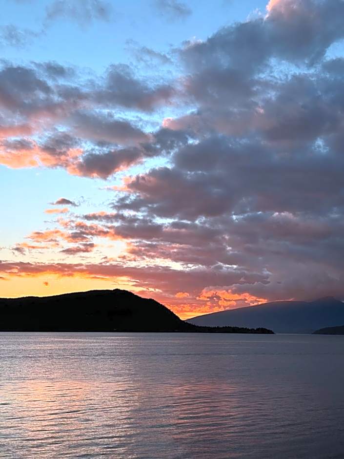 Dream House -Water Lily