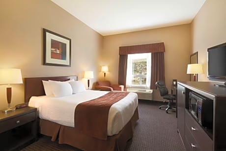 1 Queen Bed Mobility Accessible Room Non-Smoking