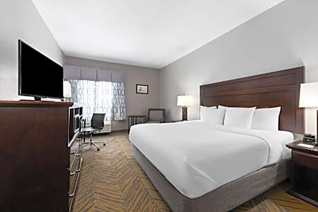 1 King Bed Non-Smoking