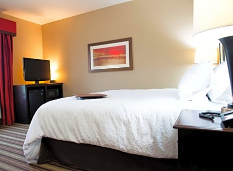 1 King Bed Nonsmoking