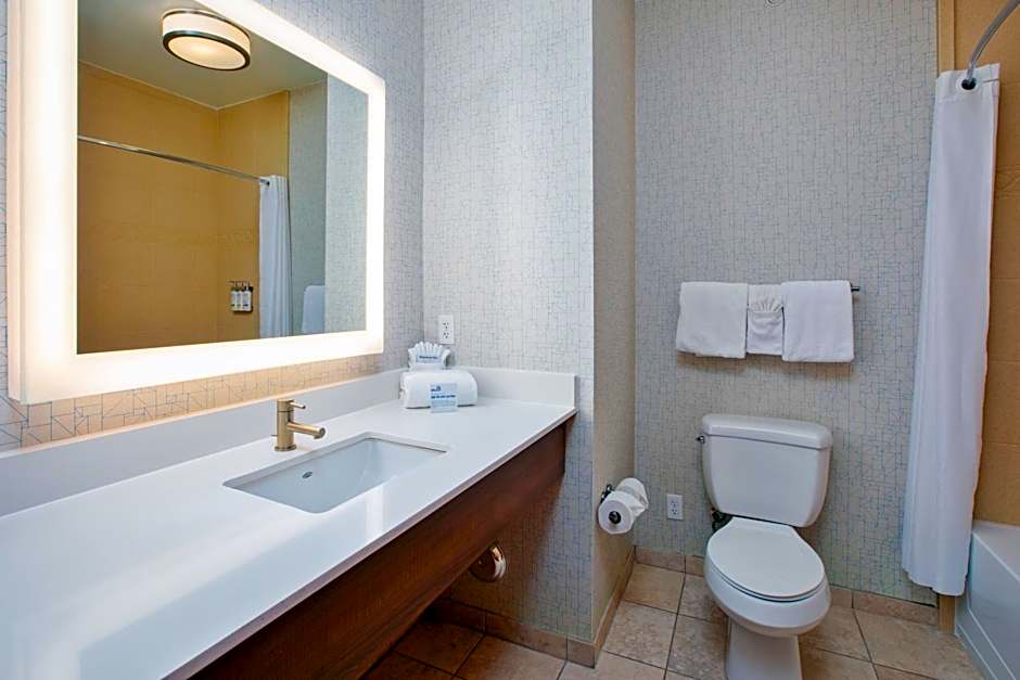 Holiday Inn Express Hotel & Suites Auburn Hills By IHG