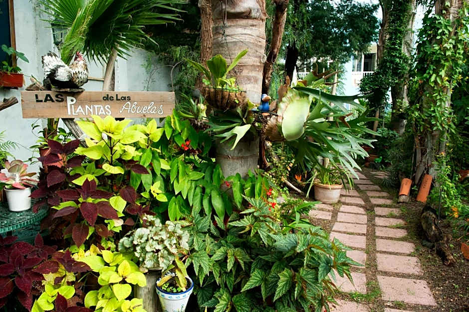 Apartamentos Adjovimar