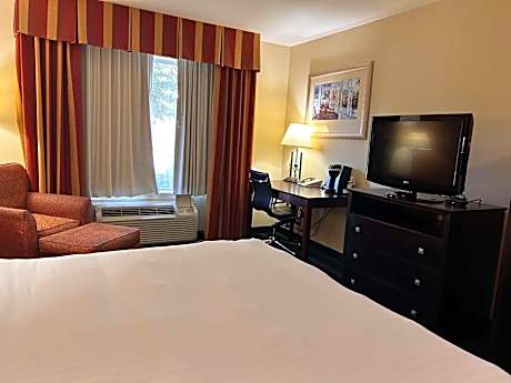 King Room with Roll-In Shower - Disability Access