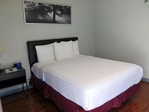 DTLA Hotel