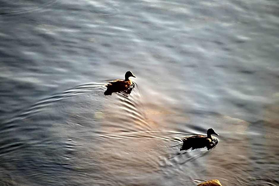 Seascape Coastal Retreat - 2 ADULTS ONLY - HOT TUB AND WITHOUT HOT TUB OCEANFRONT PROPERTY