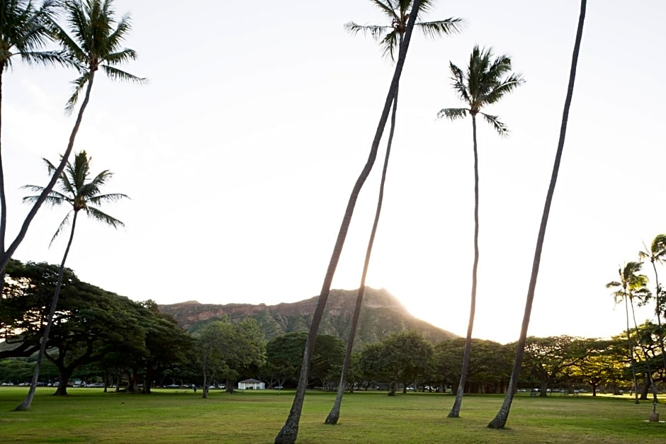 Lotus Honolulu at Diamond Head
