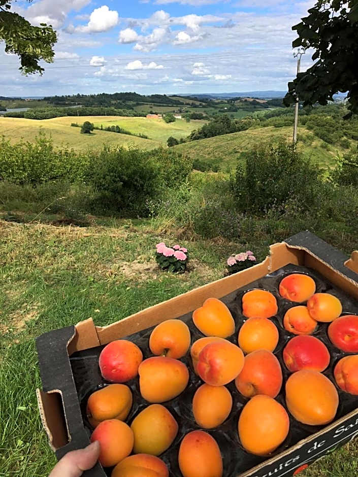 Aux Coteaux d'Aussac