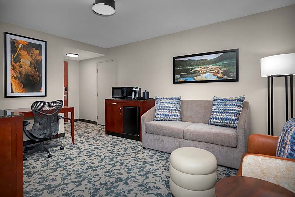 Photo 1 of 5 of 1 King Bed, Mobility Accessible, Roll in Shower