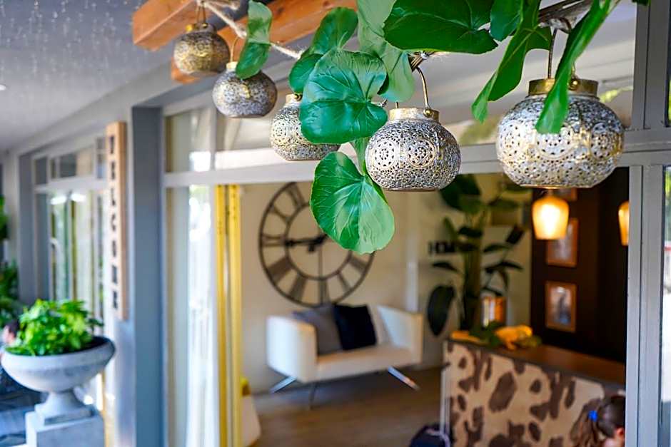 Hotel Rex - Lifestyle