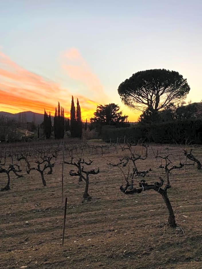 AU VILLADIOR - Vaison la Romaine