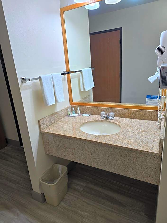 Quality Inn Durand I-69