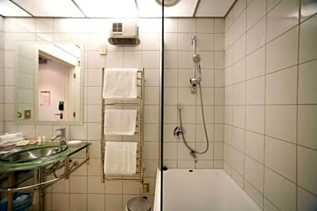 Economy Studio with Limited View