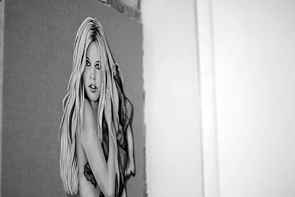 Hôtel le Chardon Bleu