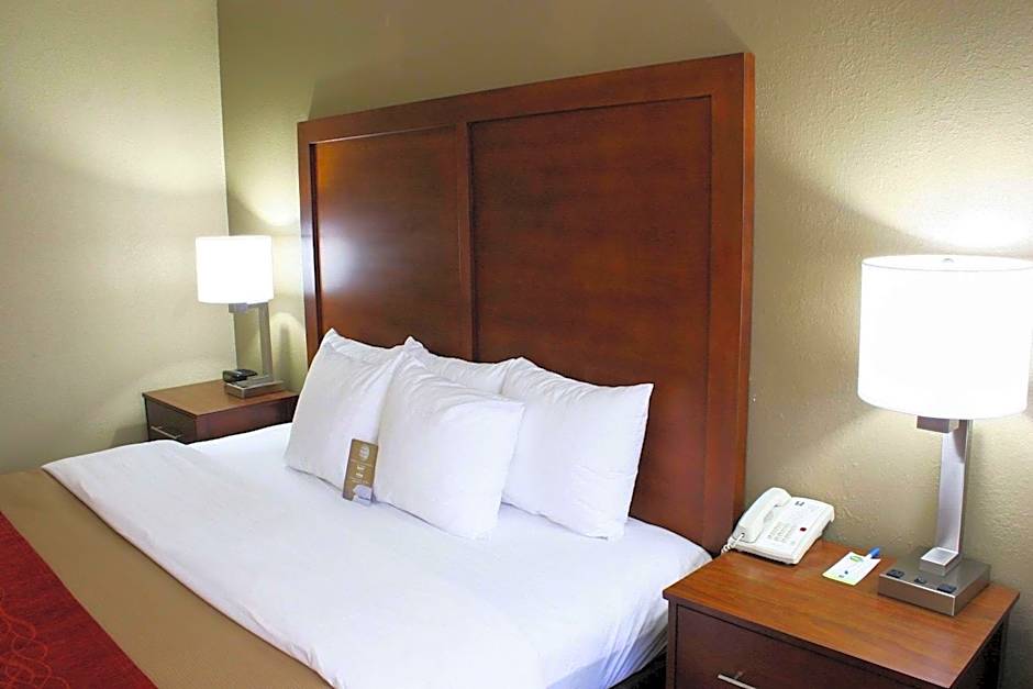 Comfort Inn Central University South