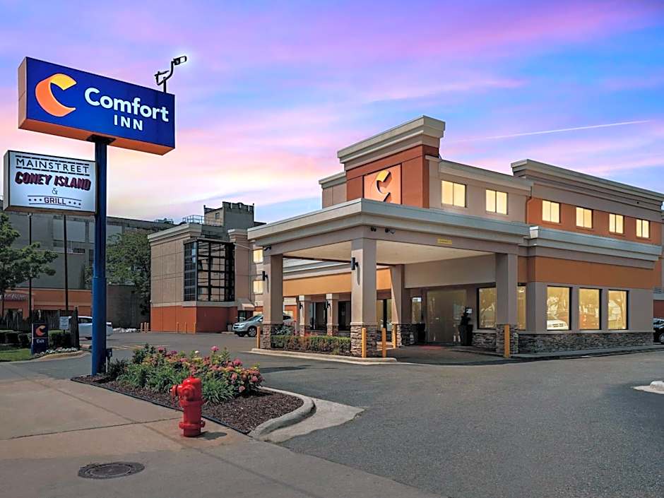 Comfort Inn Detroit Downtown