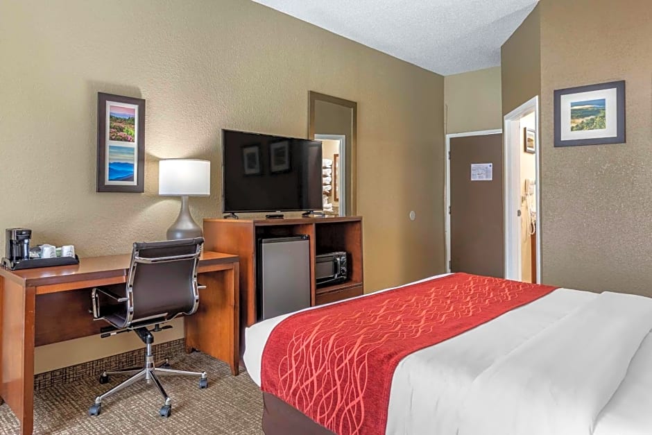 Comfort Inn South Kingsport